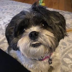 Meet your Posher, Lisa